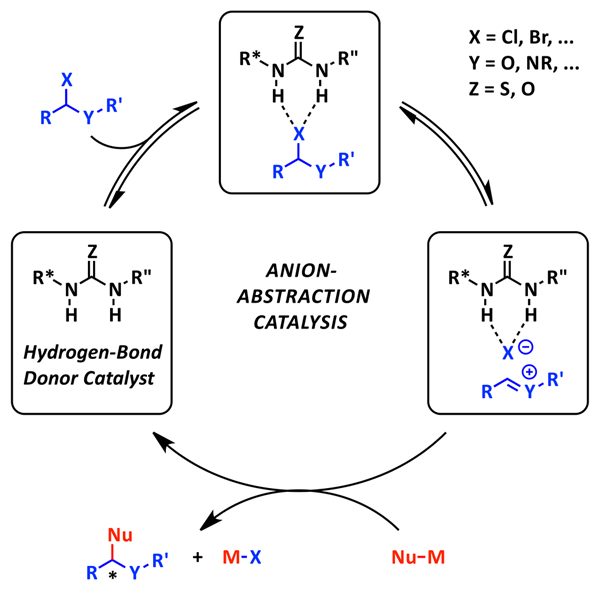 organocatalysis