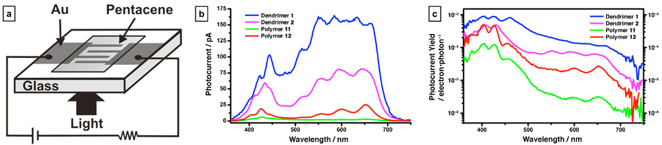 photodetector